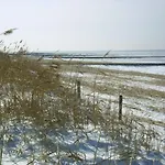 Wattenkieker Cuxhaven