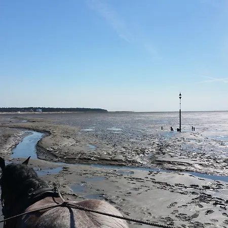 מלון Wattenkieker