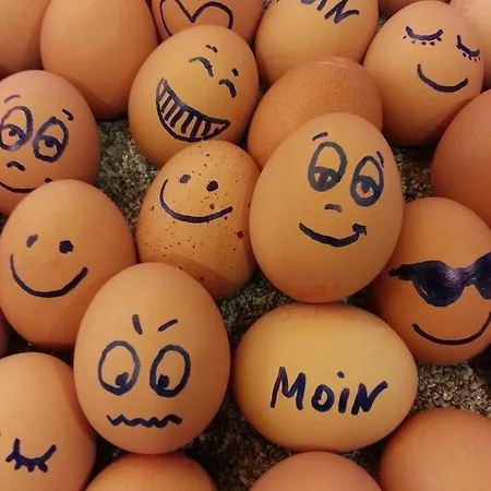 מלון Wattenkieker